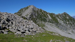 Un piccola giavina anticipa la crestina finale